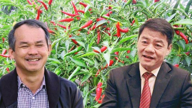 "Nữ hoàng hột vịt" chia tay "cá mập" VinaCapital; bất ngờ “mối duyên tỷ đô” THACO-HAGL - 3
2 đại gia: Trần Bá Dương và Đoàn Nguyên Đức đã có cú bắt tay trị giá tỷ đô