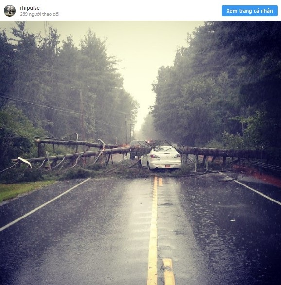 Thót tim với những khoảnh khắc “thần chết ngủ quên” - 3 “Mẹ của tôi đã ngồi trong chiếc xe này khi cái cây đổ xuống và thật khó tin khi bà ấy vẫn ổn”- một cư dân mạng khoe sự may mắn của mẹ mình trên Instagram.