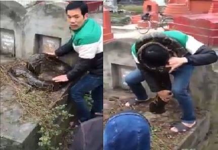Hãi hùng trăn “khủng” nuốt sống dê 15kg, trăn hơn 30kg cuộn tròn trong ruộng mía - 6 Người dân thôn Trai Trang, thị trấn Yên Mỹ (Hưng Yên) bắt được trăn khủng khi con trăn đang chui xuống một ngôi mộ (Ảnh cắt từ clip).