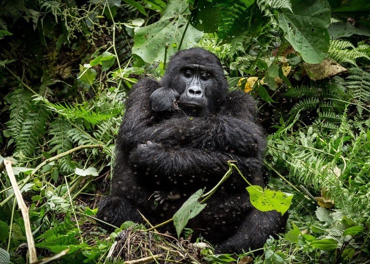 Có một trái đất “đa sắc thái” đến vậy trong cuộc thi ảnh của National Geographic! - Ảnh 2. Có một trái đất “đa sắc thái” đến vậy trong cuộc thi ảnh của National Geographic! - Ảnh 2.