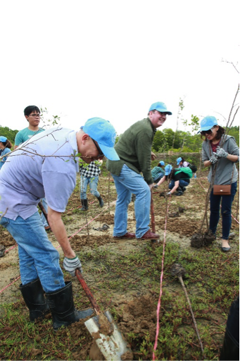 
Không chỉ nhân viên, mà các cấp quản lý, lãnh đạo của Roche Việt Nam đều nhiệt tình tham gia trồng rừng, góp phần bảo vệ lá phổi của Thành phố.
