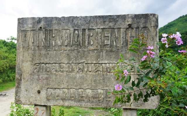 Cây săng lẻ nở hoa vào mùa mưa, bắt đầu từ tháng 4 đến tháng 9 hàng năm