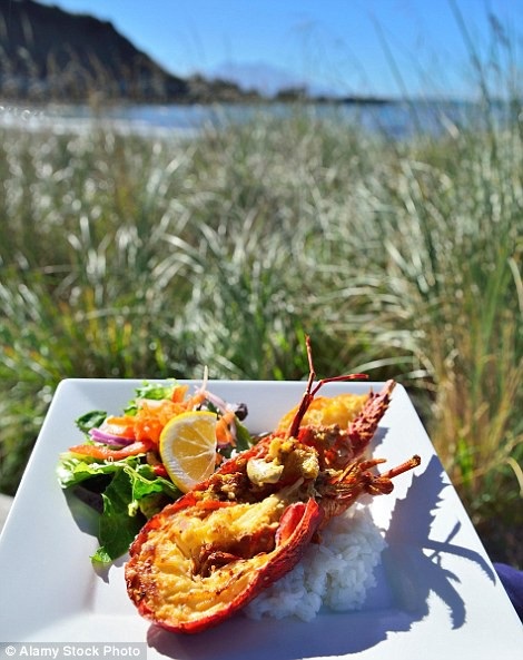 Đứng thứ 7 là trải nghiệm thưởng thức món tôm hùm đất ở vùng bờ biển New Zealand.