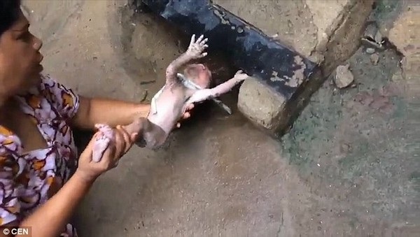 Bé sơ sinh còn nguyên dây rốn sống sót thần kỳ khi bị bỏ rơi xuống cống - 1 Khoảnh khắc Geeta kéo đứa bé sơ sinh từ dưới cống lên