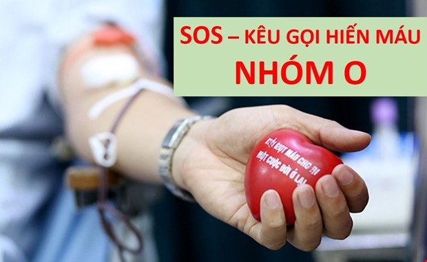 Thiếu máu nhóm O, Viện trưởng Viện Huyết học khẩn thiết kêu gọi cộng đồng hiến máu - 1 Thiếu máu nhóm O, Viện trưởng Viện Huyết học khẩn thiết kêu gọi cộng đồng hiến máu - 1