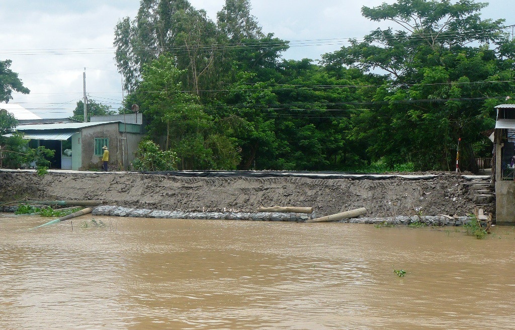 Mưa nhiều, lũ về sớm, miền Tây lên kế hoạch ứng phó - 4 Hiện các tỉnh miền Tây, như An Giang, Kiên Giang, Đồng Tháp đã chủ động gia cố đê bao, đảm bảo các vùng sản xuất lúa, hoa màu trước dấu hiệu lũ về sớm