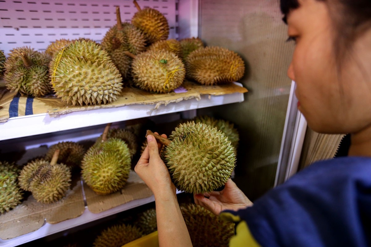 Người Sài Gòn xếp hàng "rồng rắn" để ăn sầu riêng trả hạt - 6 Những ngày đầu, anh Long chỉ dám lấy số lượng ít để bán thử, thấy lượng sầu riêng cung không đủ cầu nên anh mạnh dạn lấy thêm về để bán.
