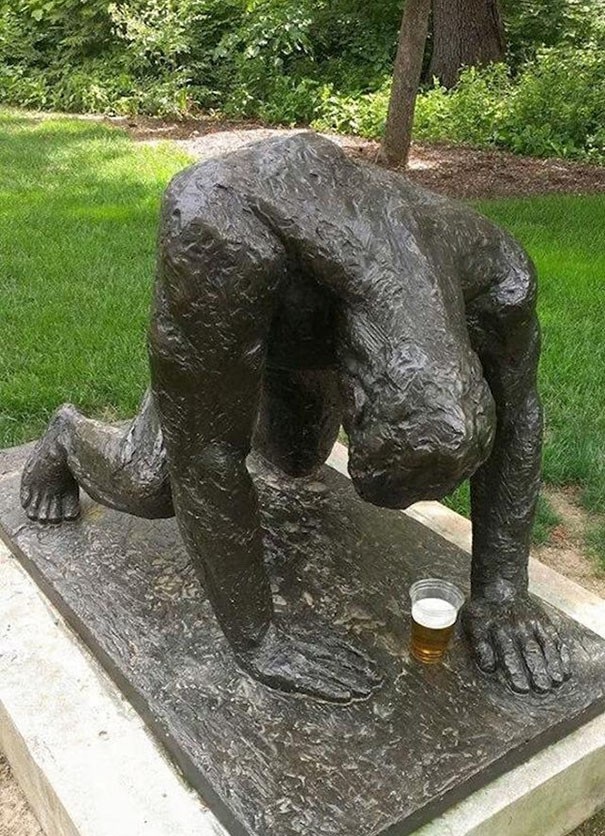 Đến tượng cũng phải gục ngã vì say