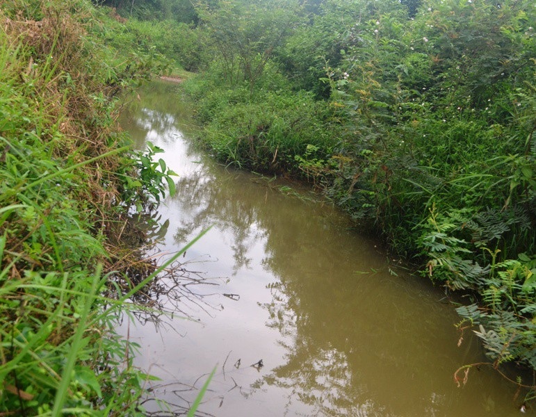 Hai trang trại lợn ngang nhiên “tra tấn” người dân ngay từ đầu nguồn nước! - Ảnh 3. Hai trang trại lợn ngang nhiên “tra tấn” người dân ngay từ đầu nguồn nước! - Ảnh 3.