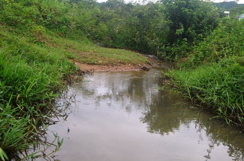 Hai trang trại lợn ngang nhiên “tra tấn” người dân ngay từ đầu nguồn nước! - Ảnh 4. Hai trang trại lợn ngang nhiên “tra tấn” người dân ngay từ đầu nguồn nước! - Ảnh 4.