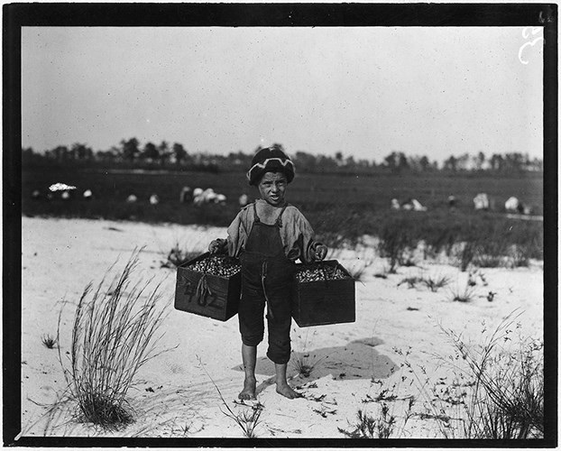Bé Salvin Nocito mới chỉ 5 tuổi nhưng đã phải mang những giỏ việt quất rất nặng và đi một quãng đường xa để bán chúng.