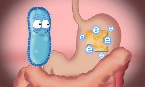 Bảo bối đối phó viêm đại tràng co thắt của người Nhật - 2 Bổ sung đầy đủ lợi khuẩn Bifido giúp thoát ngay hội chứng ruột kích thích