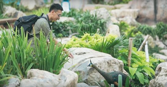 Hot trend hè 2018: Đi du lịch muôn nơi, khoe MV như mơ - 8 Những trải nghiệm khó quên của thí sinh Phan Huy Đăng tại Vinpearl với bài dự thi Hành Trình Kẻ Mộng Mơ