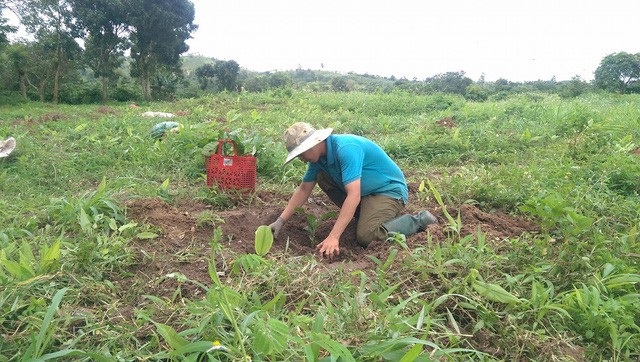 Tòa án chuyển hồ sơ vụ giáo viên kiện nhà trường sang Công an để điều tra - 1
Sau khi mất việc, các giáo viên phải bươn chải đủ nghề. Trong ảnh: Thầy Võ Văn Tuấn (GV Toán trường THCS Ea Uy) làm nương rẫy để mưu sinh.