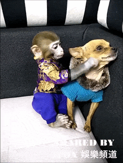 “Cười thả ga” với loạt ảnh động về những khoảnh khắc hài hước - 8 Tái hiện hình ảnh cuộc sống hôn nhân