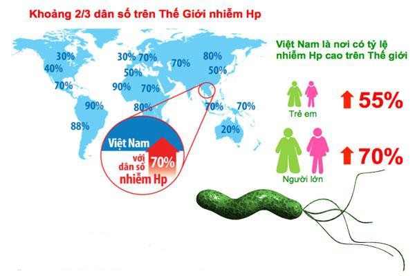Cảnh báo: 6 thói quen “khó bỏ” làm tăng nguy cơ ung thư dạ dày - 1 Vi khuẩn HP là thủ phạm chính gây ra các bệnh lý ở dạ dày trong đó có ung thư dạ dày