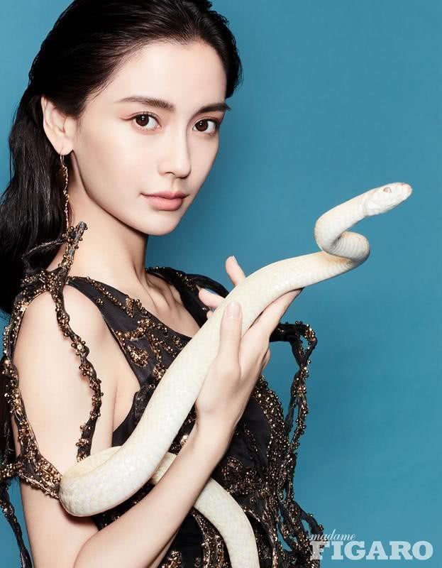 "Bà xã" của Huỳnh Hiểu Minh chụp ảnh với rắn - 5 
Tham gia khác nhiều lĩnh vực từ người mẫu thời trang, diễn viên điện ảnh tới ca sĩ, MC truyền hình, Angelababy luôn cố gắng làm thật tốt tất cả những vai trò. Mới đây, góp mặt trong một show vũ đạo trên truyền hình, Angelababy lại khiến mọi người bất ngờ.
