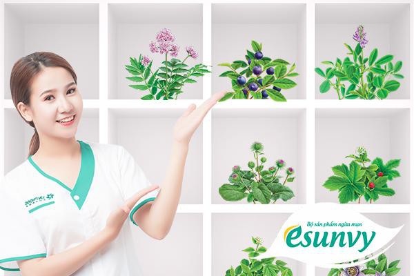 Chuyên gia chia sẻ cách trị mụn trứng cá lành tính bằng đông y - 2 Trên thực tế, nhiều người đã hết mụn tận gốc bằng cách kết hợp trị triệu chứng viêm bên ngoài với thảo dược thanh nhiệt, giải độc và tăng cường chức năng gan.