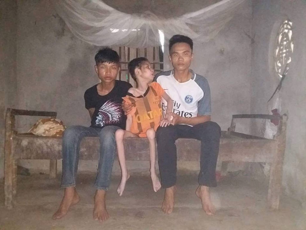 hc7 hc7