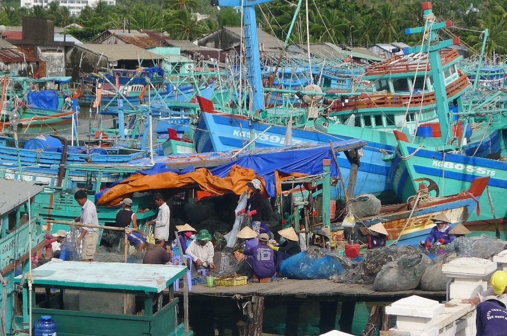 Hiện nay nguồn lao động phục vụ cho nghề biển đang khan hiếm, do đó, nhiều kẻ xấu lợi dụng lòng tin của những thanh niên ở quê để lừa gạt đi làm nghề biển thu nhập cao