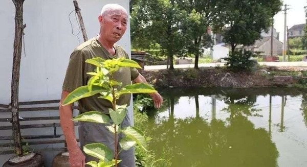 Hai cha con được cùng một cụ ông cứu sống, cách nhau 30 năm - 1 Ông Từ chỉ về khúc sông gần nhà nơi cậu bé được cứu