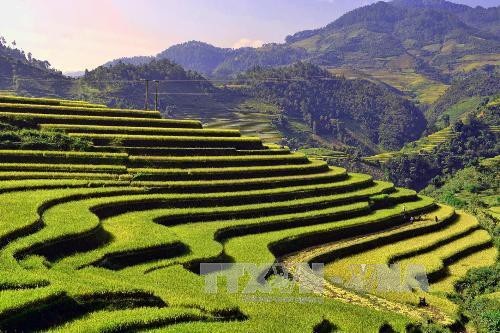 8 điểm du lịch Tây Bắc nổi tiếng có thể đi trong dịp nghỉ lễ 2/9 - 7 8 điểm du lịch Tây Bắc nổi tiếng có thể đi trong dịp nghỉ lễ 2/9 - 7
