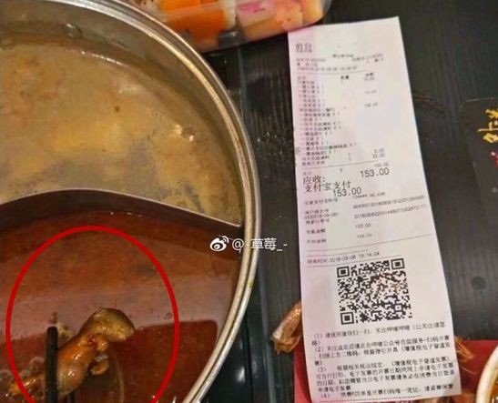 Thực khách “hết hồn” khi thấy xác chuột chết trong nồi lẩu của nhà hàng Trung Quốc - 1 Xác chuột chết cứng trong nồi lẩu bị thực khách phát hiện