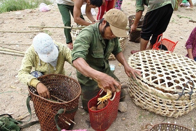 Chợ độc đáo của “công ty 2 sọt”… giữa rừng sâu - 7