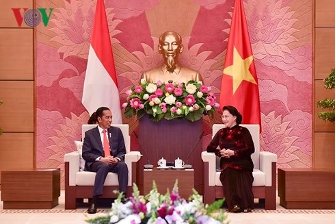 Chủ tịch Quốc hội tiếp Tổng thống Indonesia Joko Widodo - 1 Chủ tịch Quốc hội tiếp Tổng thống Indonesia Joko Widodo (ảnh: VOV)