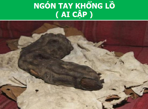 Những bằng chứng khẳng định rằng người khổng lồ đã từng tồn tại (Phần 1) - 3 Những bằng chứng khẳng định rằng người khổng lồ đã từng tồn tại (Phần 1) - 3