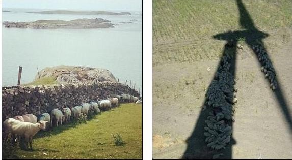 1001 cách chống nóng khiến bạn không thể nhịn cười - 12 1001 cách chống nóng khiến bạn không thể nhịn cười - 12