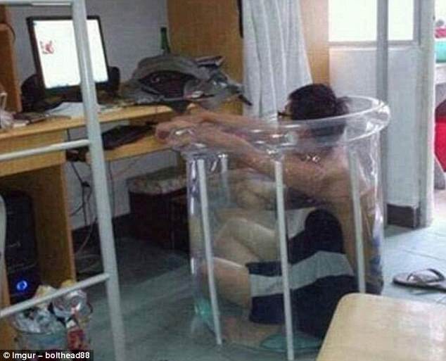 1001 cách chống nóng khiến bạn không thể nhịn cười - 5 1001 cách chống nóng khiến bạn không thể nhịn cười - 5