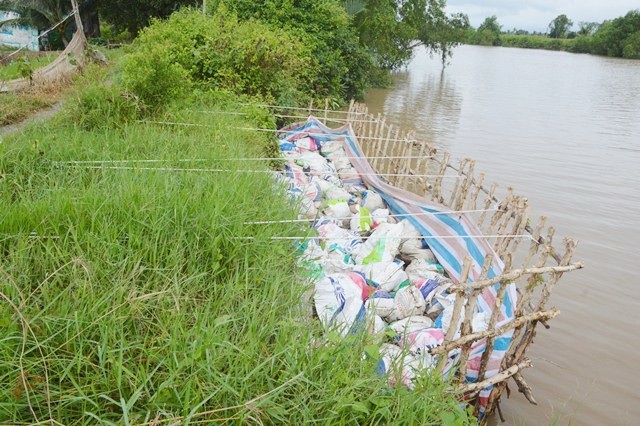 Báo động tình trạng hà bá ăn sông, nuốt nhà dân tại Sóc Trăng! - Ảnh 6. Báo động tình trạng hà bá ăn sông, nuốt nhà dân tại Sóc Trăng! - Ảnh 6.