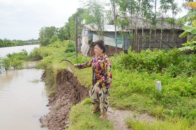 Báo động tình trạng hà bá ăn sông, nuốt nhà dân tại Sóc Trăng! - Ảnh 8. Báo động tình trạng hà bá ăn sông, nuốt nhà dân tại Sóc Trăng! - Ảnh 8.