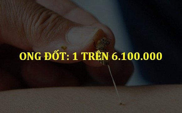 Bất ngờ với xác suất “thiệt mạng” của những hoạt động thường ngày! - 12 Bất ngờ với xác suất “thiệt mạng” của những hoạt động thường ngày! - 12