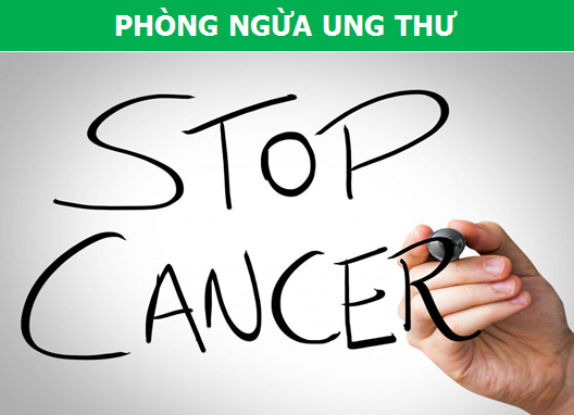 Gừng và chùm ngây: Sự kết hợp tuyệt vời cho sức khỏe! - 2 Gừng và chùm ngây: Sự kết hợp tuyệt vời cho sức khỏe! - 2