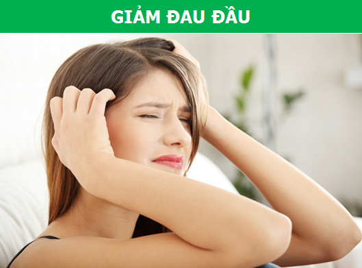 Gừng và chùm ngây: Sự kết hợp tuyệt vời cho sức khỏe! - 4 Gừng và chùm ngây: Sự kết hợp tuyệt vời cho sức khỏe! - 4