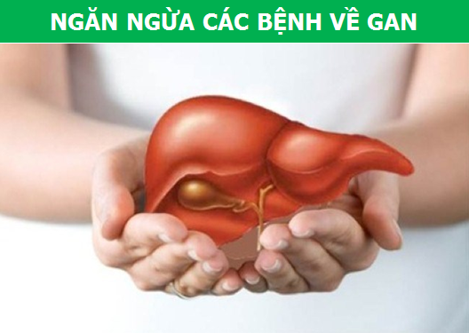 Gừng và chùm ngây: Sự kết hợp tuyệt vời cho sức khỏe! - 5 Gừng và chùm ngây: Sự kết hợp tuyệt vời cho sức khỏe! - 5