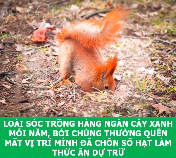 Những sự thật "tan chảy" khiến bạn thêm yêu các loài sinh vật này! - 1 Những sự thật "tan chảy" khiến bạn thêm yêu các loài sinh vật này! - 1