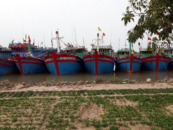 Nghề biển chưa hết lo về lao động - 2 Thực tế, số người được đào tạo quả là còn khiêm tốn so với số lượng tàu.