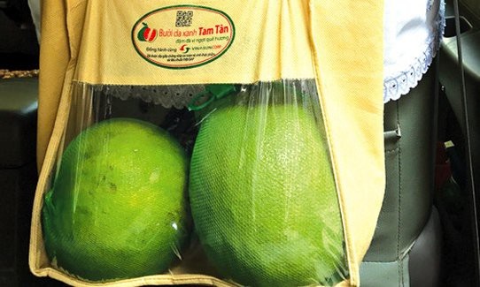 Chèn hạt điều khắp ô tô: Anh taxi vui tính tháng kiếm thêm ngàn USD - 3 Một hãng taxi còn đồng ý cho nhân viên bán bưởi trên xe