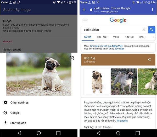 Ứng dụng nhận diện được chú chó trong hình ảnh cần tìm kiếm là “Chó Pug”