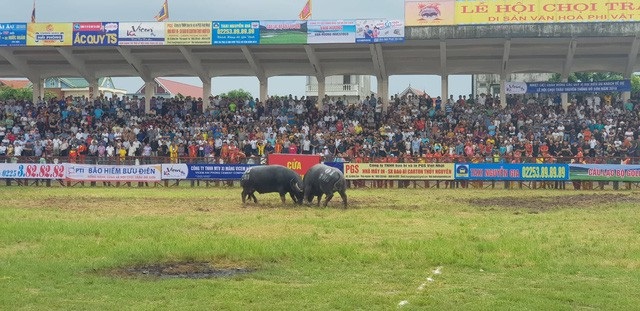 Phó Chủ tịch Hà Nội thăm thanh niên sốc ma túy, tàu đường sắt trên cao lần đầu lăn bánh - 6 Mặc dù trời mưa rất to nhưng sáng 18/9, hàng vạn người vẫn đổ về Sân vận động trung tâm quận Đồ Sơn, TP Hải Phòng để được chứng kiến những pha đấu gay cấn, hấp dẫn… của 16 “ông” trâu tại Lễ hội chọi trâu truyền thống Đồ Sơn năm 2018. (Ảnh: An Nhiên)