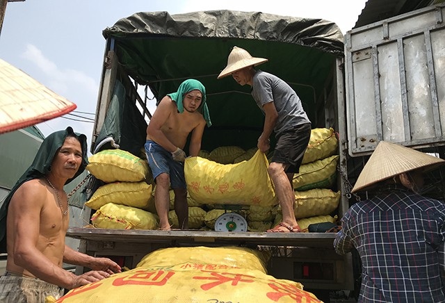 Phó BQL chợ Long Biên: "Không có ổ nhóm xã hội đen trong chợ" (?) - 3 Hoạt động bốc dỡ hàng hóa ở chợ Long Biên