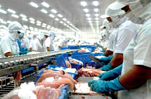 Tiền đóng thấp, tỷ lệ hưởng BHXH cao - 1 Tâm tư của lao động ngành chế biến và xuất khẩu thủy sản đã được Bộ LĐTBXH giải đáp. Ảnh: T.L