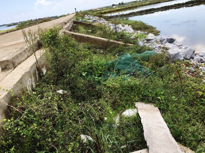 Quảng Bình:  Đê mới đầu tư xây dựng 5 năm đã xuống cấp nghiêm trọng! - Ảnh 10.