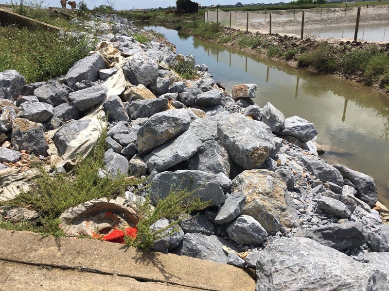 Quảng Bình:  Đê mới đầu tư xây dựng 5 năm đã xuống cấp nghiêm trọng! - Ảnh 2.