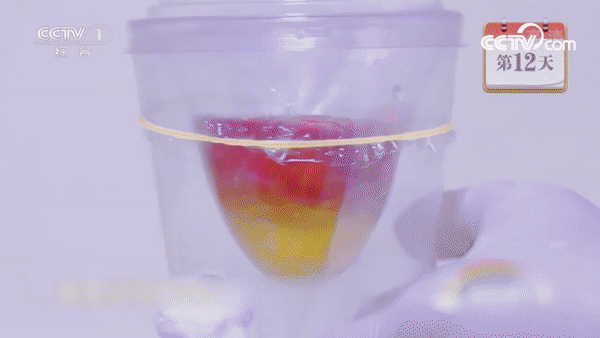 “Khó tin” Trung Quốc ấp nở thành công quả trứng gà không có vỏ! - 1