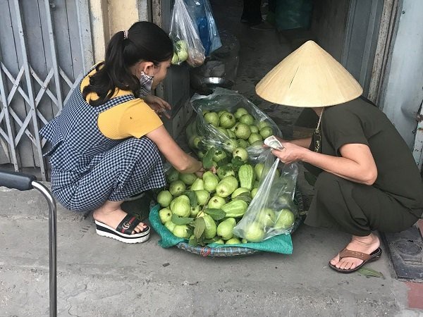 Bằng cách này, vợ chồng lão nông đều đặn thu 100 triệu đồng/tháng - 1
Chỉ với mẹt ổi bày trên vỉa hè, mỗi tháng vợ chồng bà Thương có thể thu đến 100 triệu đồng