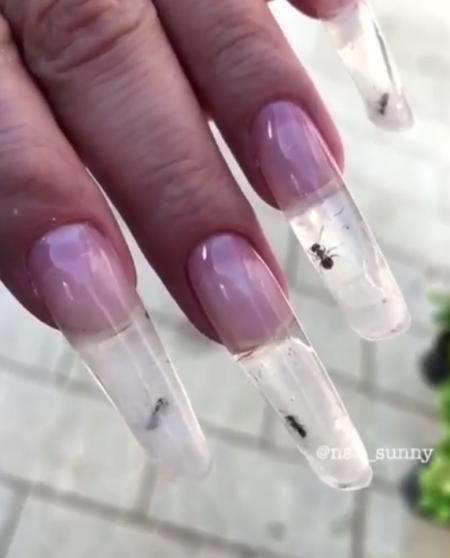 Những con kiến vẫn còn sống và bò trong móng tay